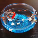 Daifa Fish Tank Прозрачное стекло Офисная гостиная Творческий гидропонный барабан Круглый резервуар для черепахи Мини Настольный аквариум